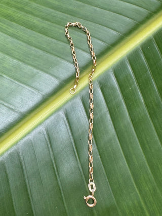 14k Italy Belcher/Biker Link/Chain Bracelet